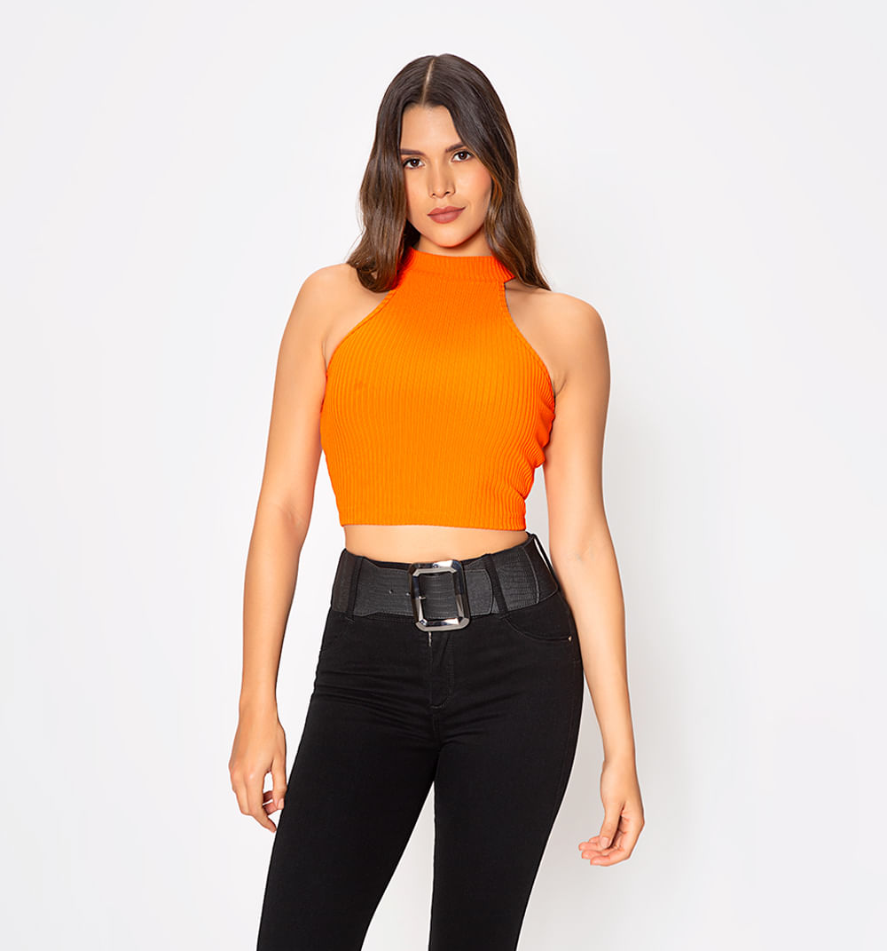 Blusa Crop Cuello Alto