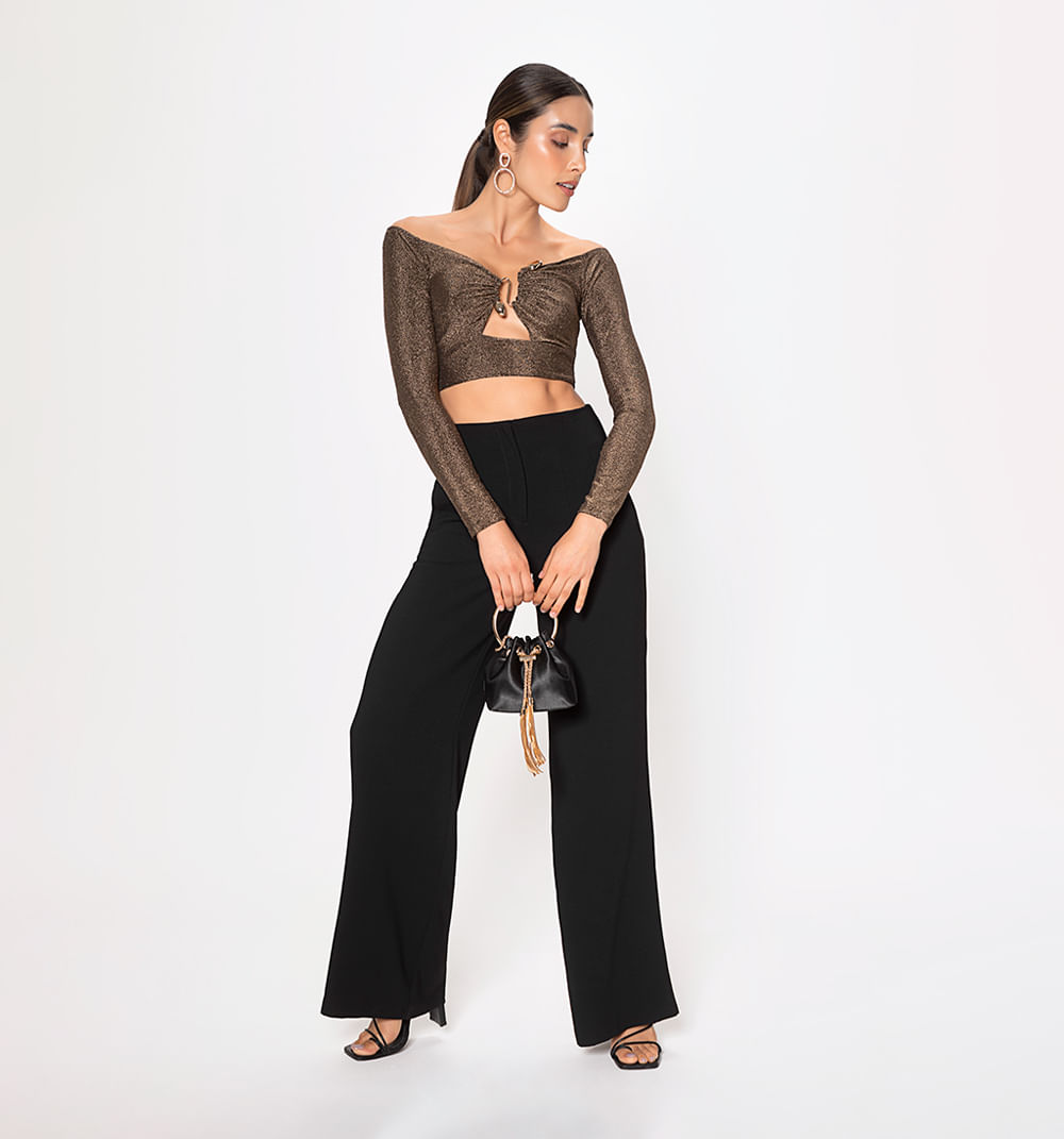 Blusa Crop Con Herraje Manga Larga