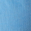 S142850-AZULHORTENSIA.jpg