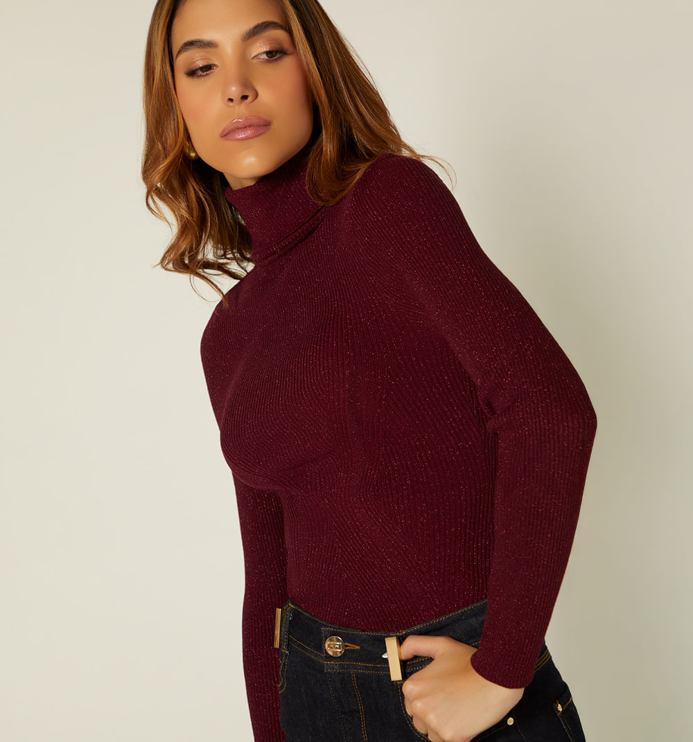 Buzo Cuello Tortuga Manga Larga