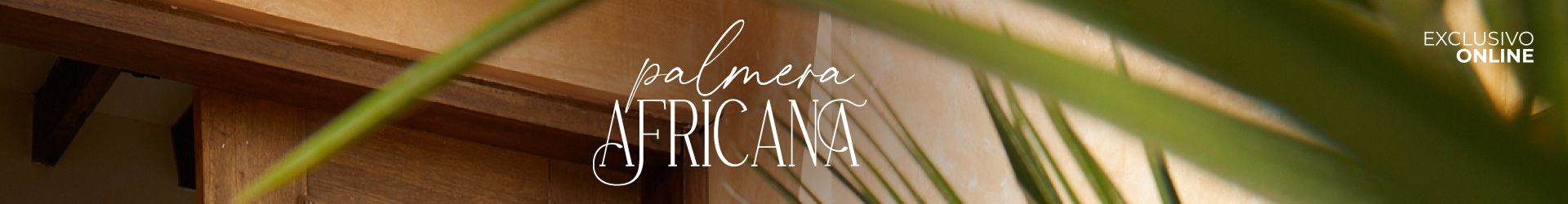 Palmera Africana, Producto | Studio F México